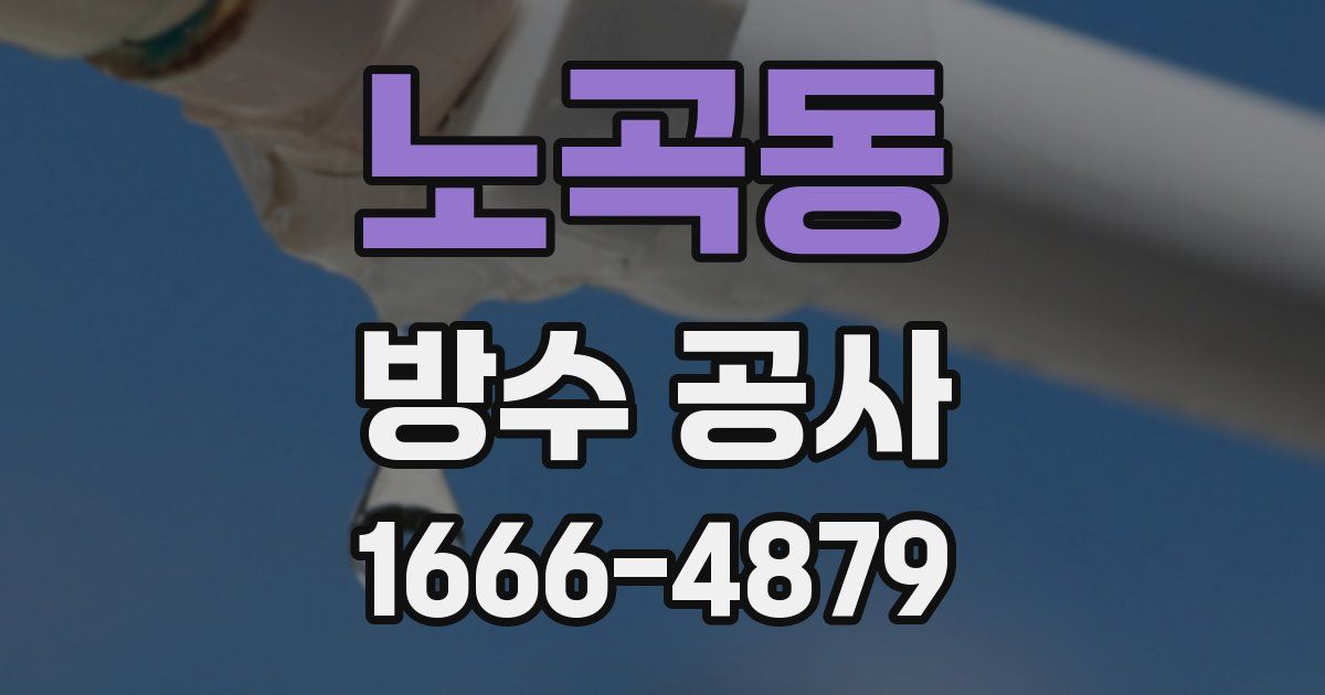노곡동 방수 공사
