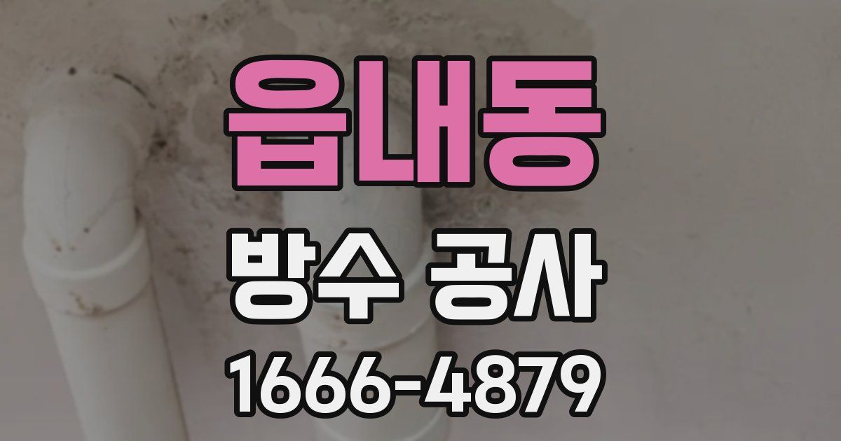 읍내동 방수 공사