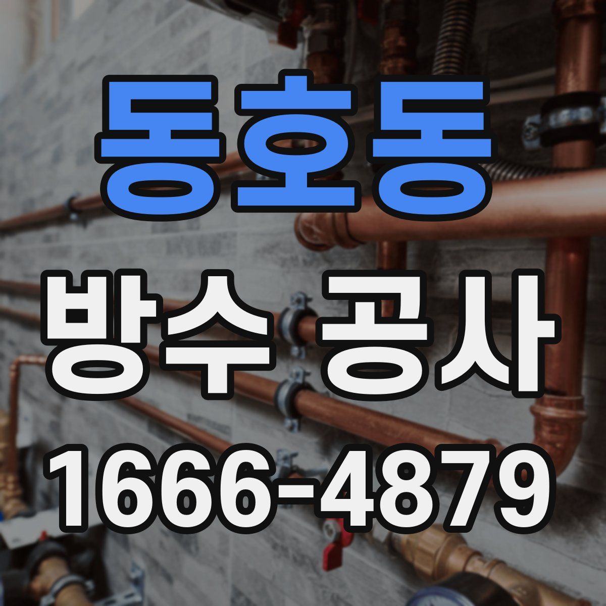 동호동 방수 공사