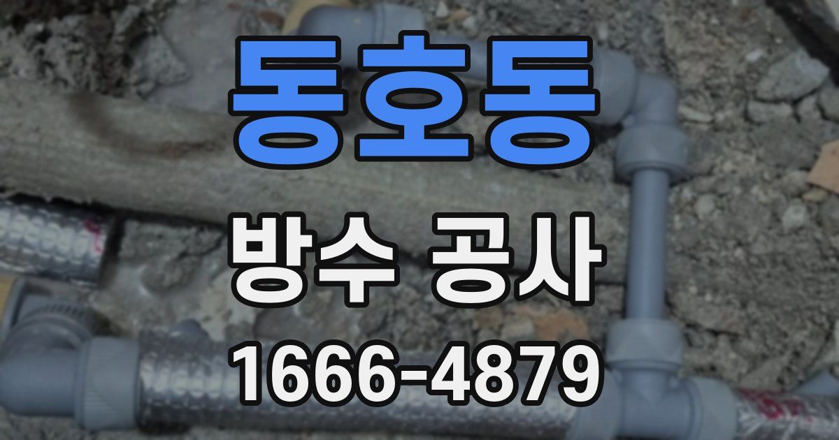 동호동 방수 공사