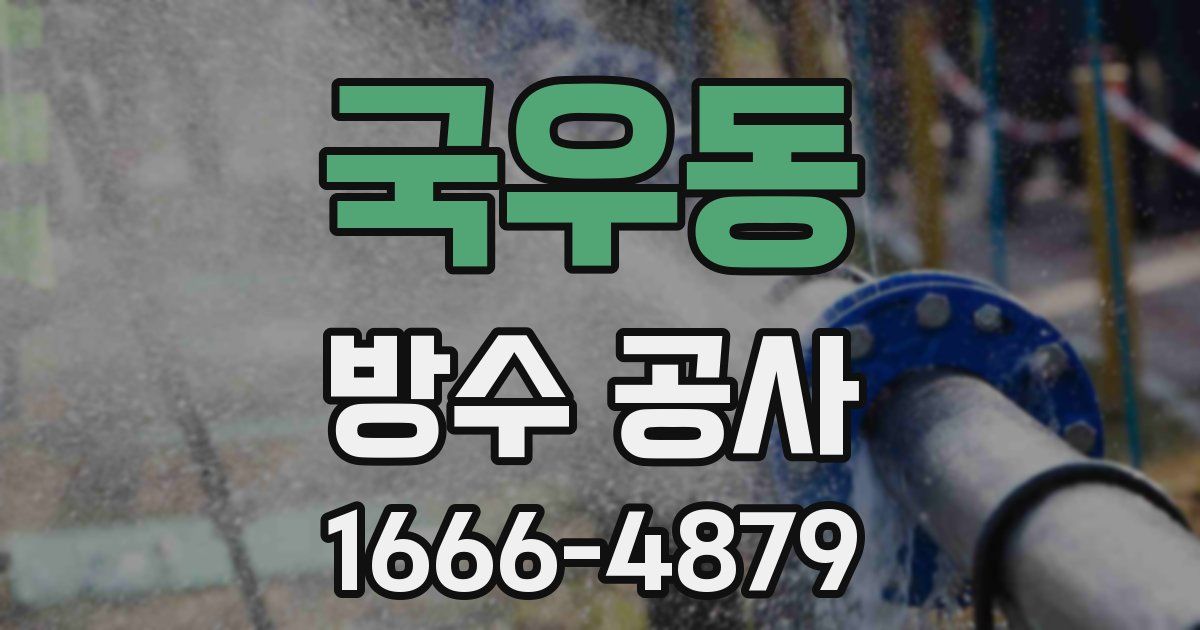 국우동 방수 공사