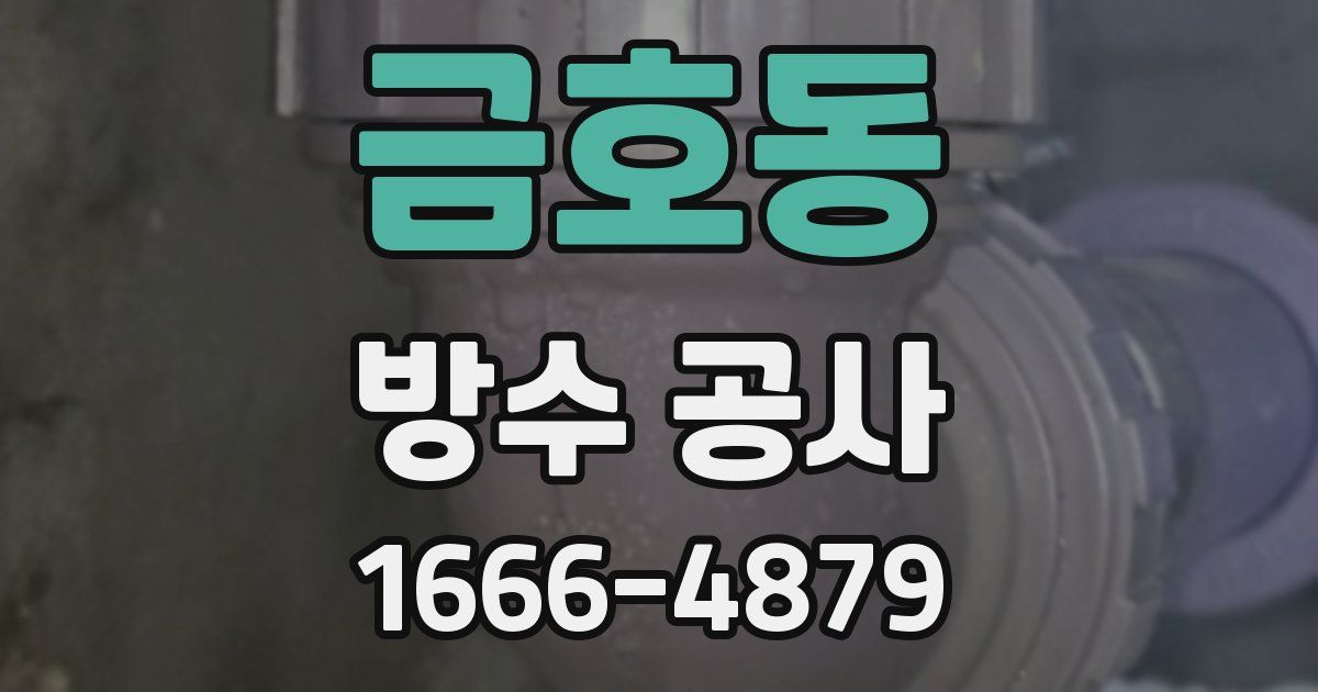 금호동 방수 공사