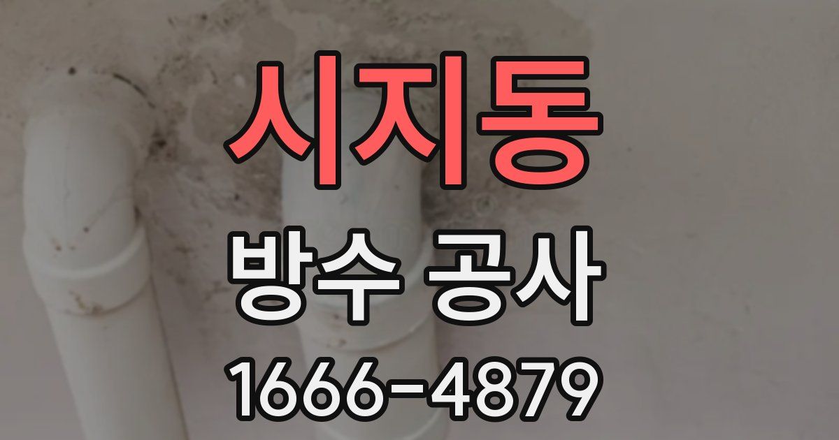 시지동 방수 공사