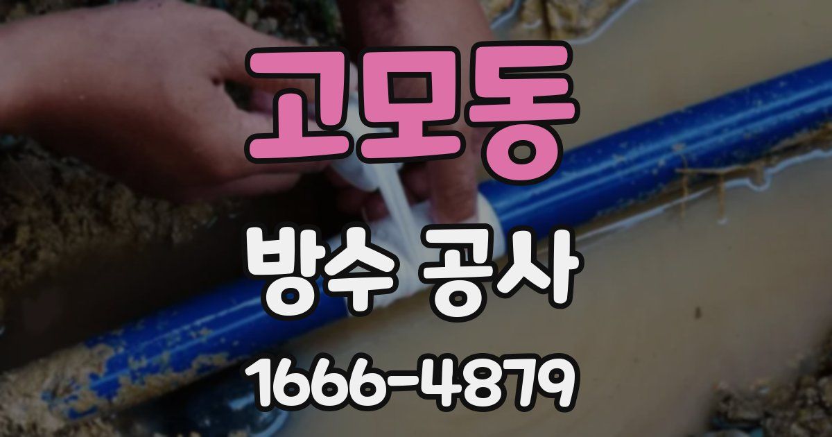 고모동 방수 공사