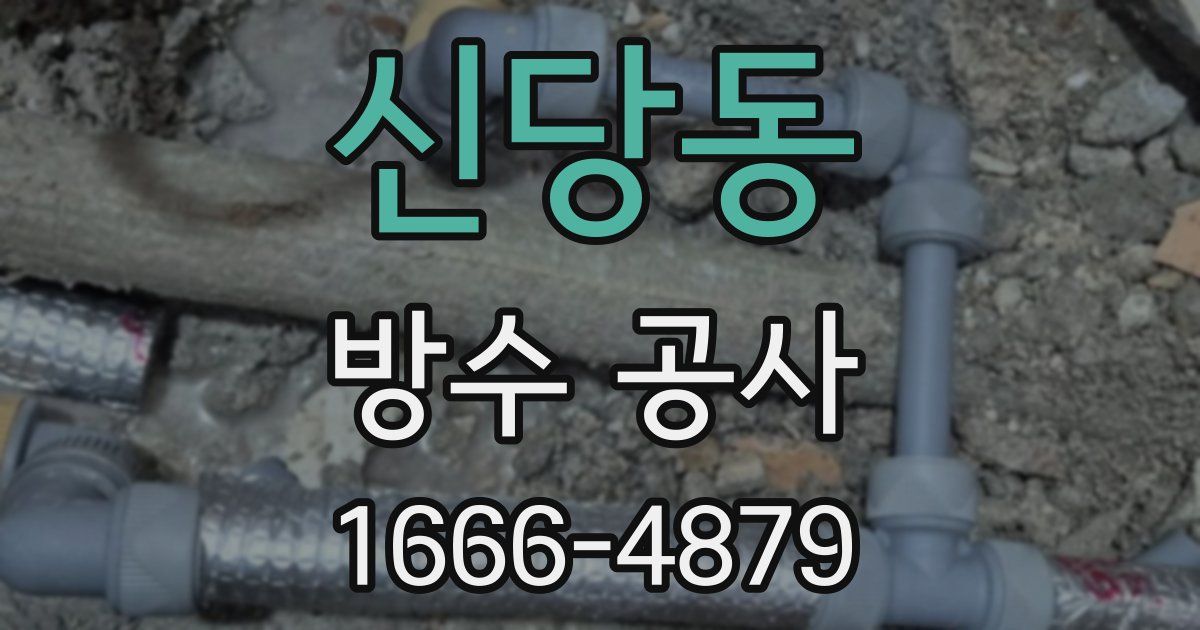 신당동 방수 공사