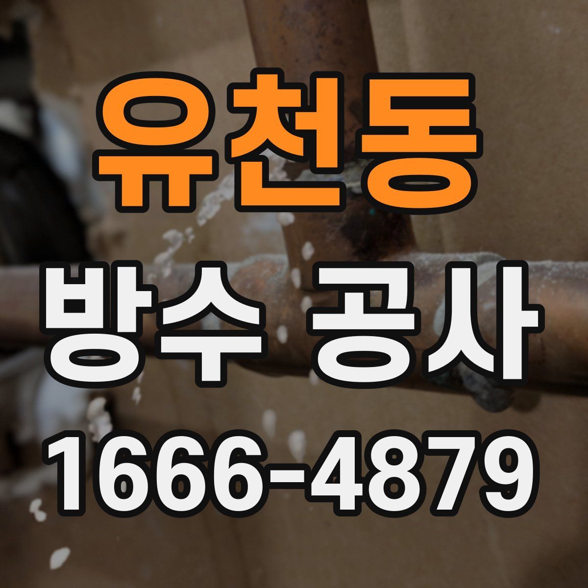 유천동 방수 공사