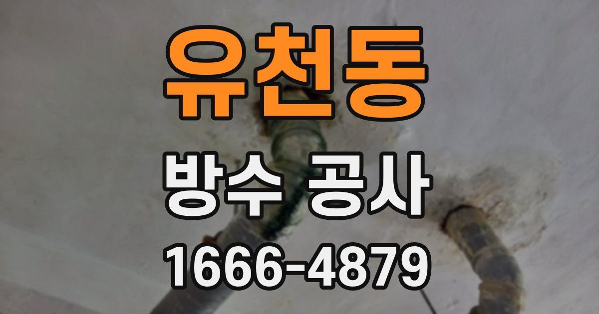 유천동 방수 공사