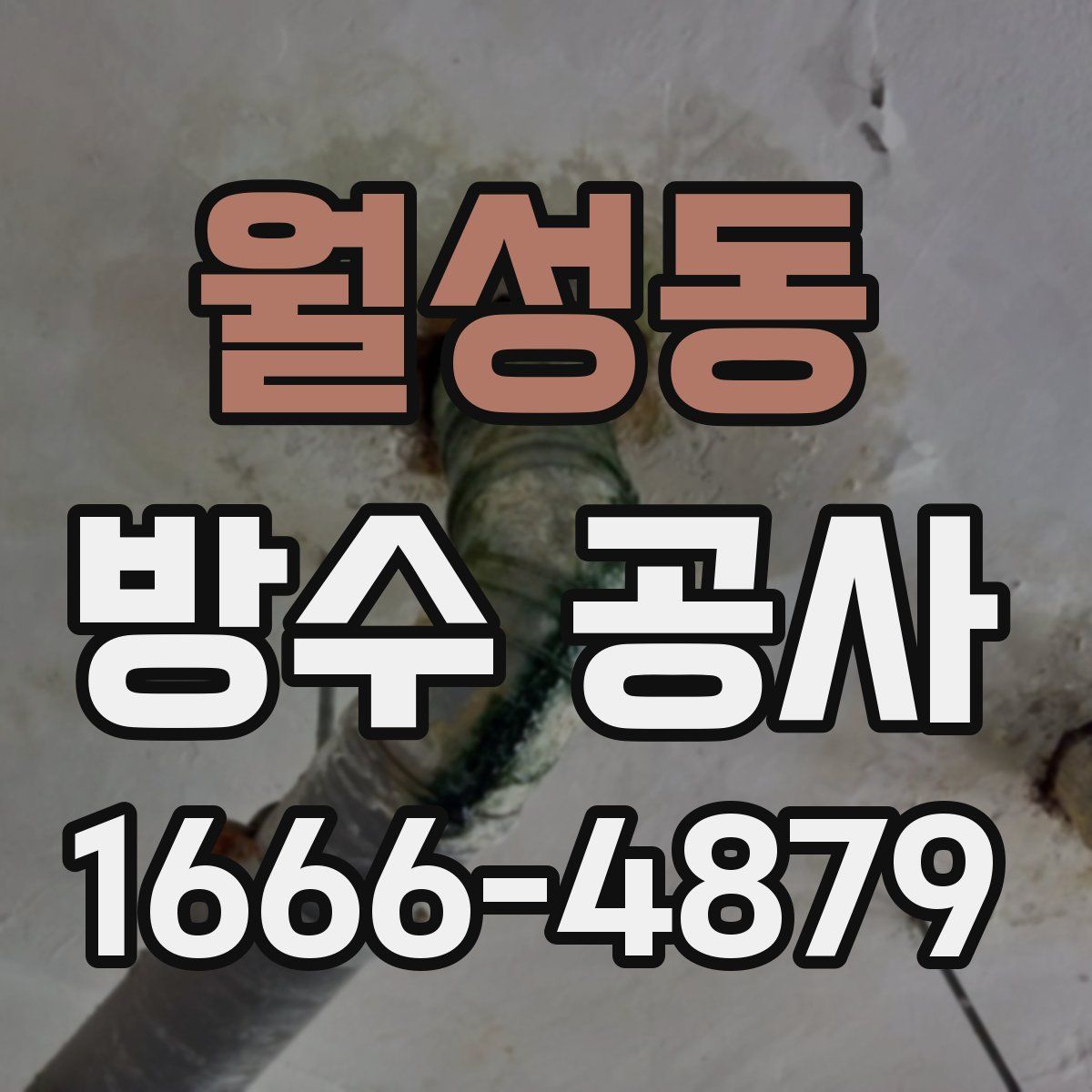 월성동 방수 공사