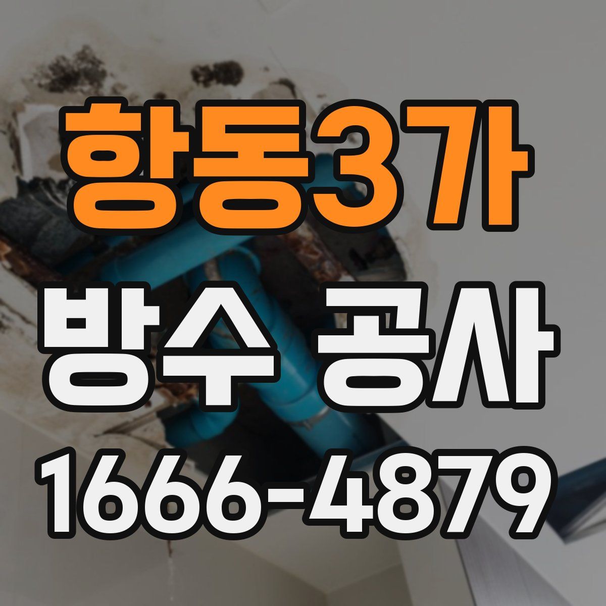항동3가 방수 공사