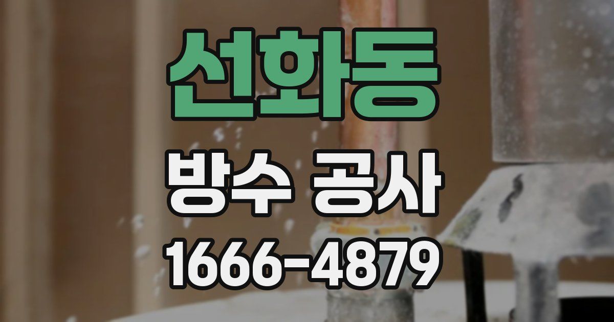 선화동 방수 공사