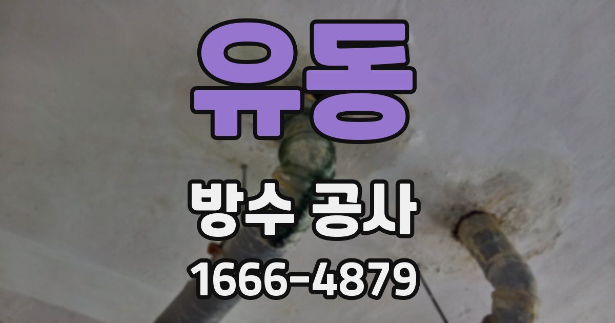유동 방수 공사