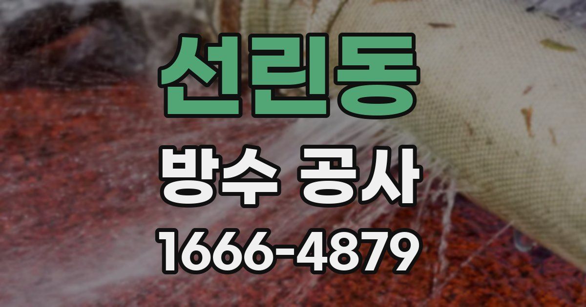 선린동 방수 공사