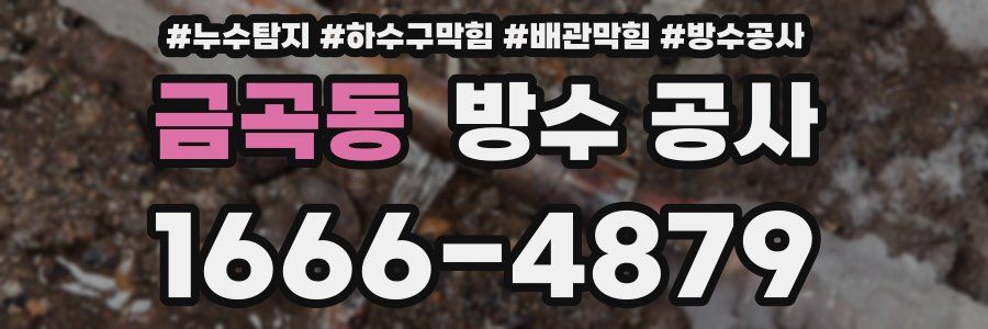 금곡동 방수 공사
