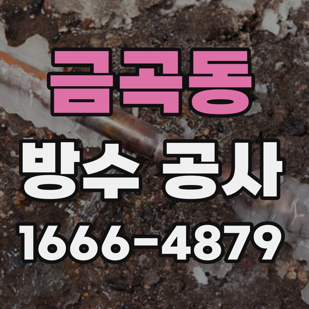금곡동 방수 공사