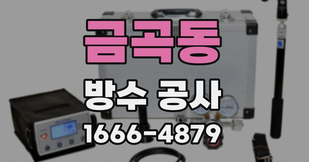 금곡동 방수 공사