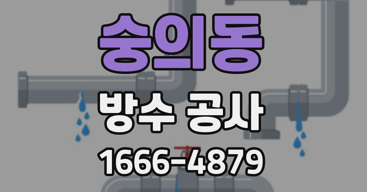 숭의동 방수 공사