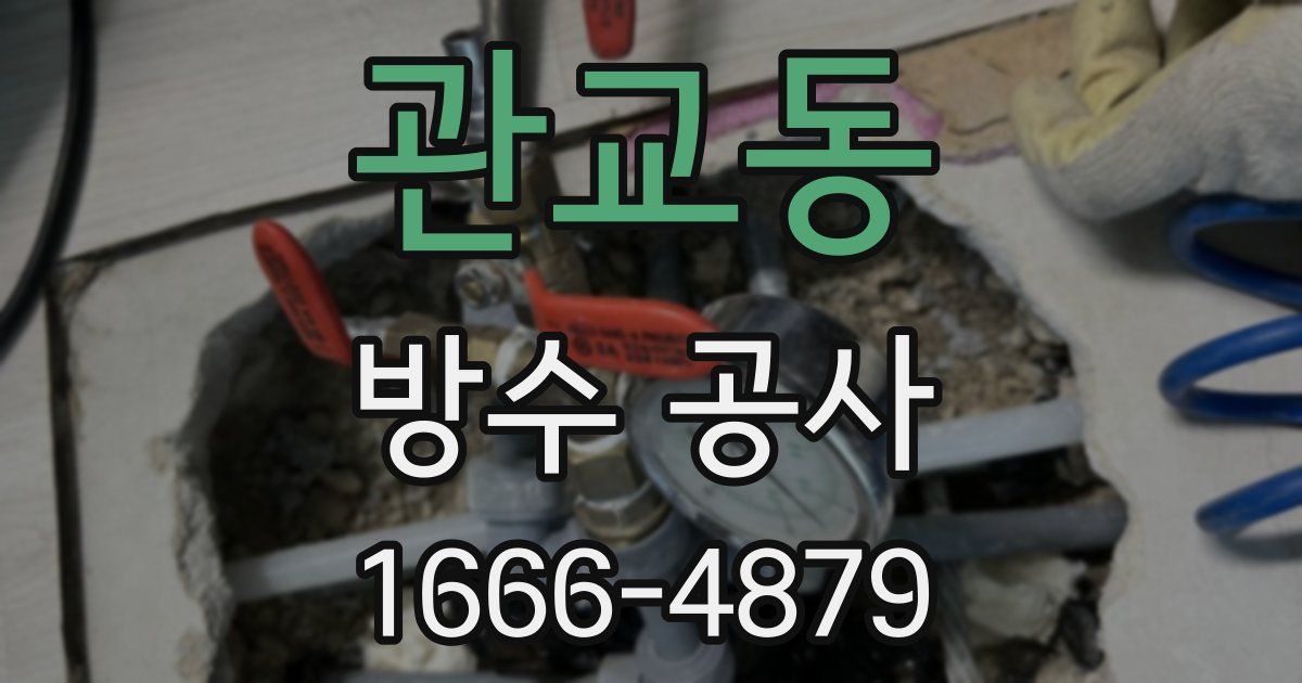 관교동 방수 공사