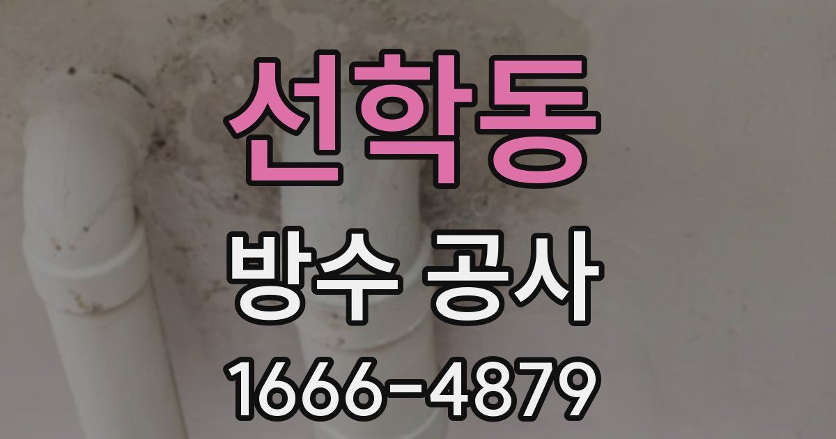 선학동 방수 공사