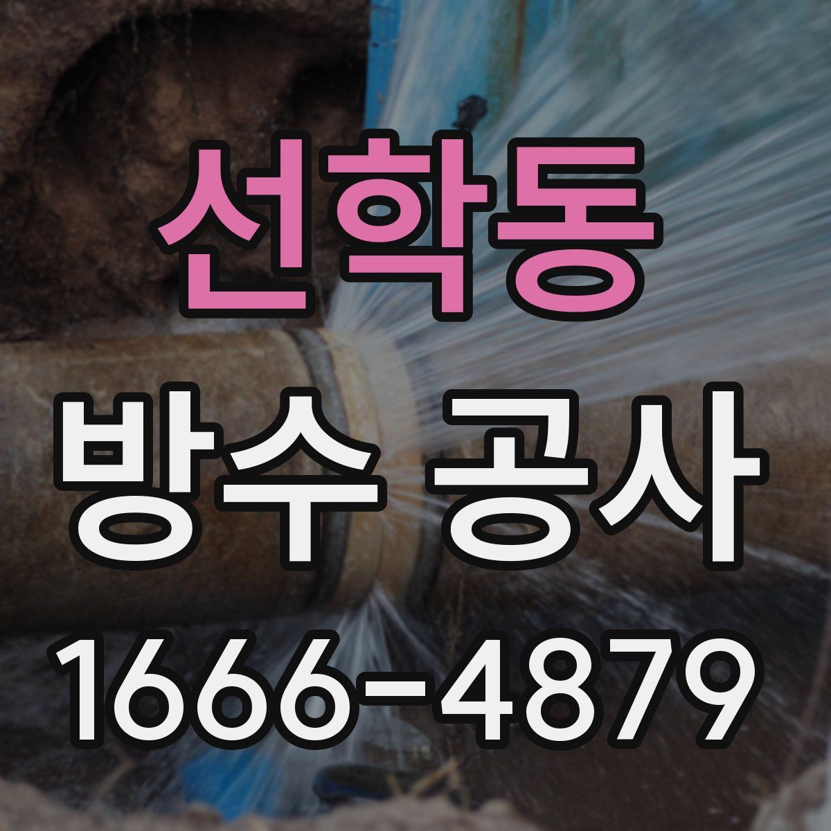선학동 방수 공사