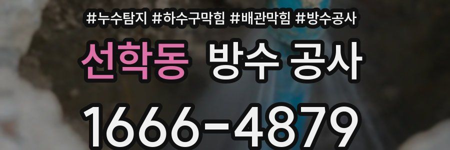 선학동 방수 공사