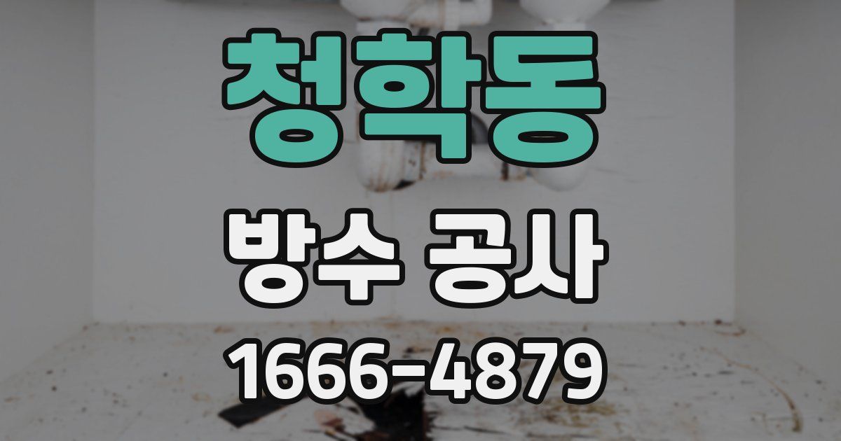 청학동 방수 공사