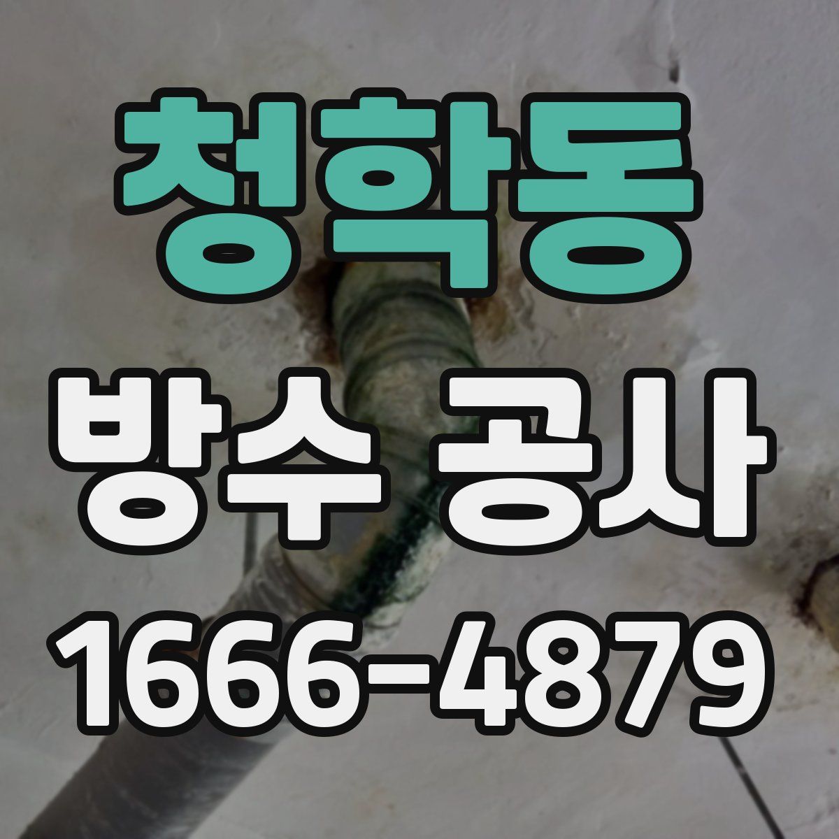 청학동 방수 공사
