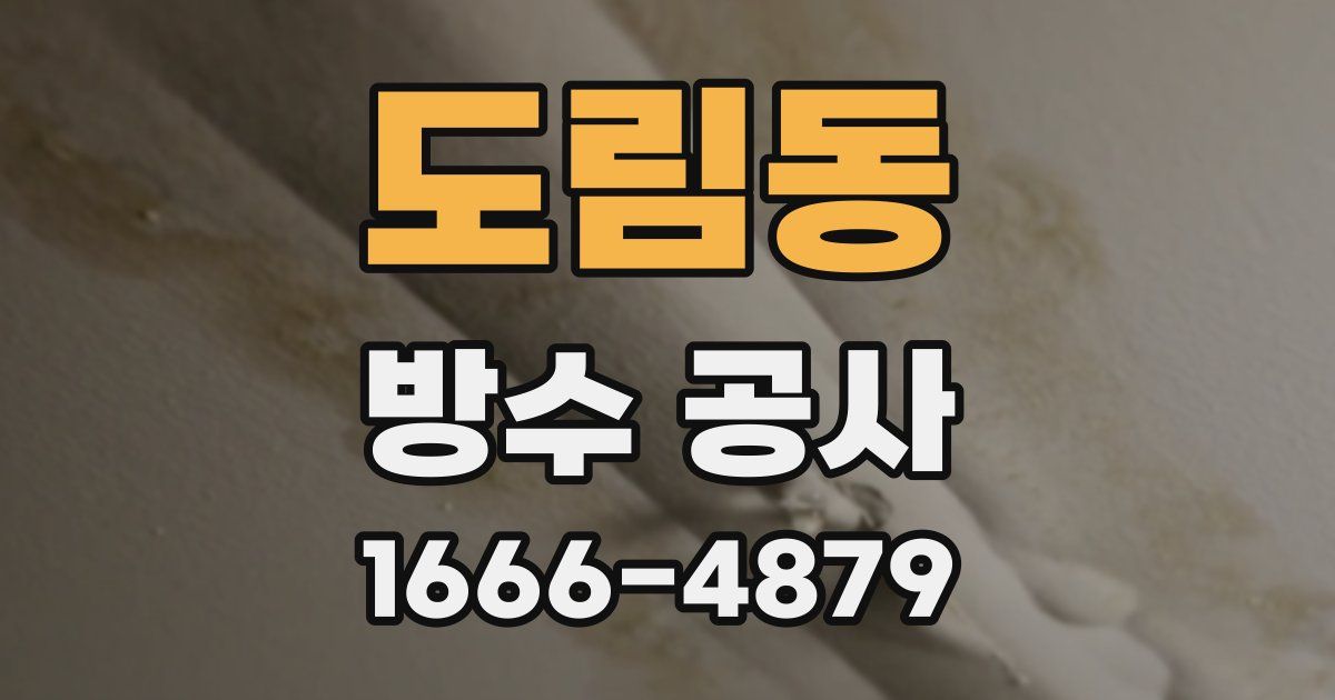 도림동 방수 공사