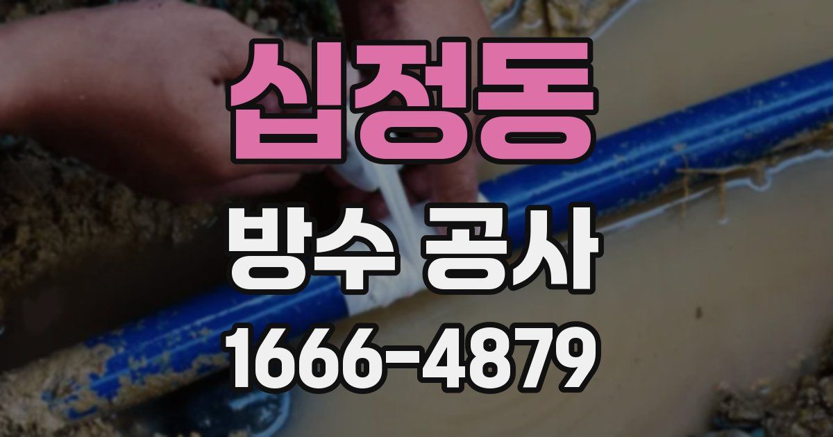 십정동 방수 공사