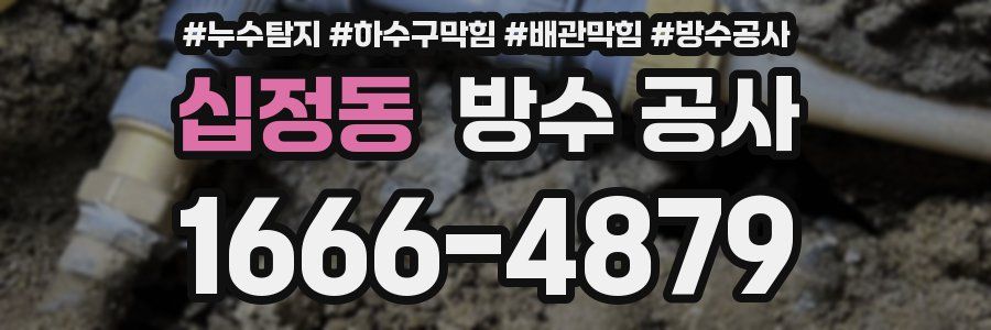 십정동 방수 공사