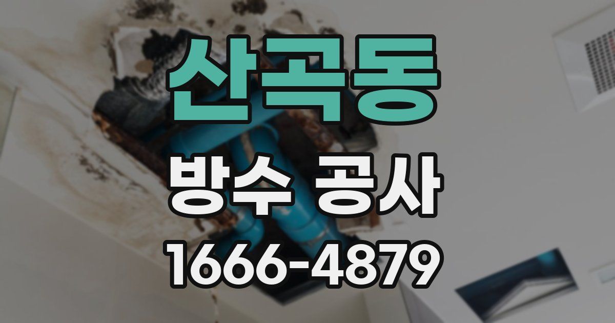 산곡동 방수 공사