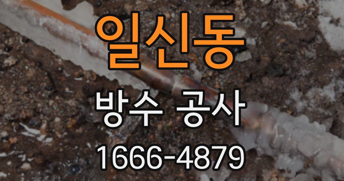 일신동 방수 공사