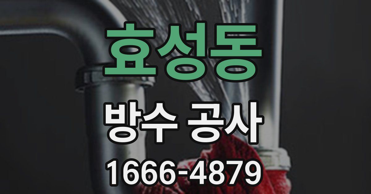 효성동 방수 공사
