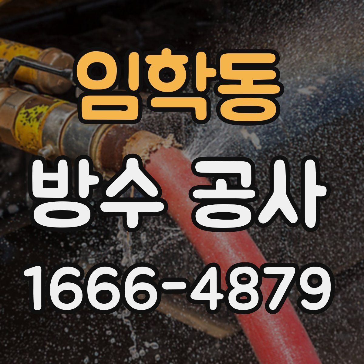임학동 방수 공사