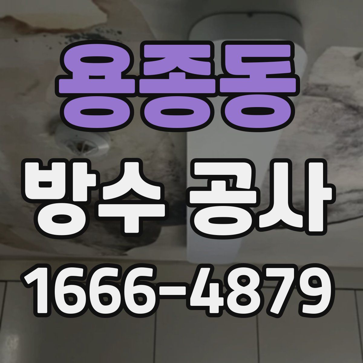 용종동 방수 공사