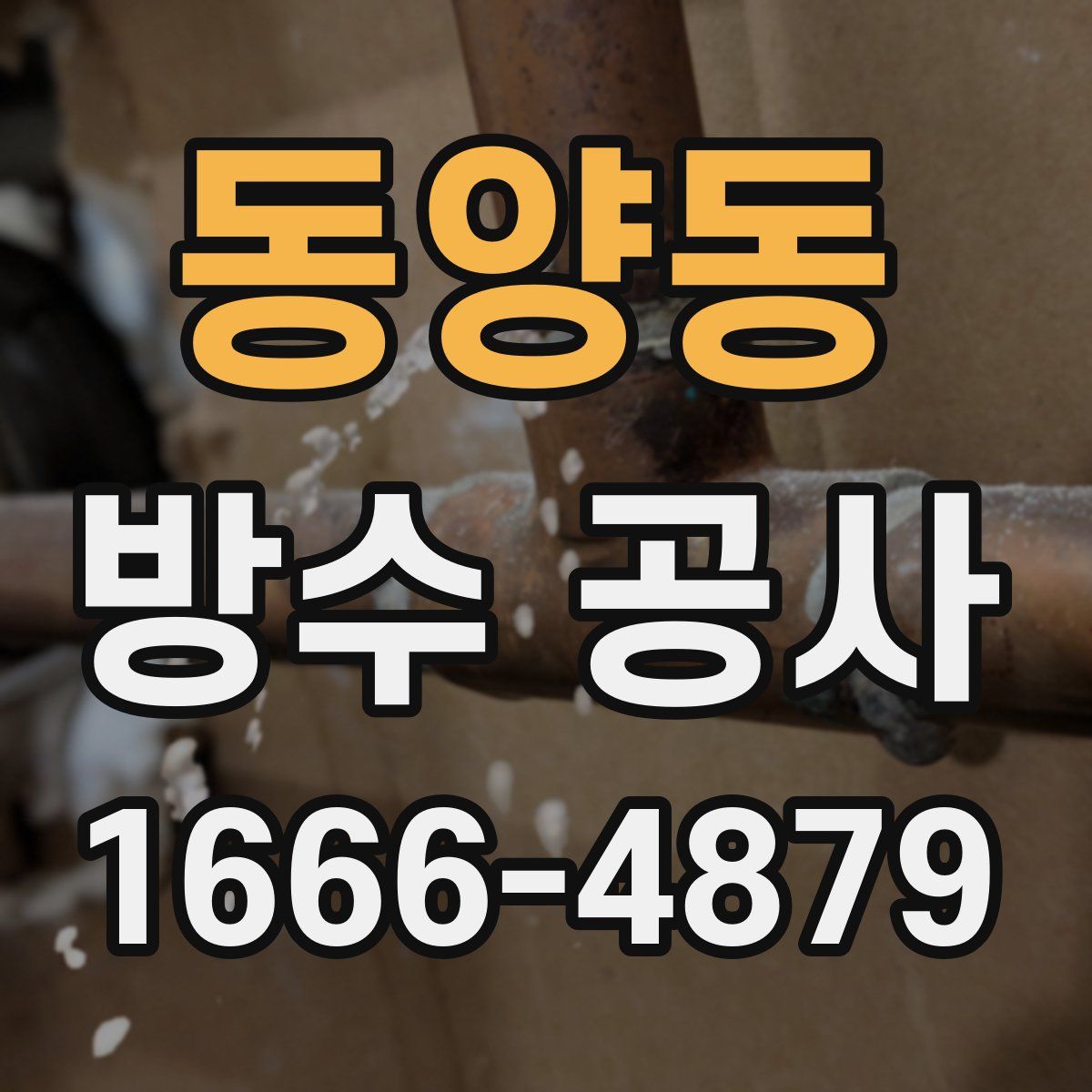 동양동 방수 공사