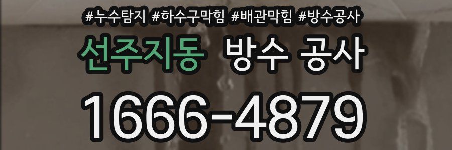 선주지동 방수 공사