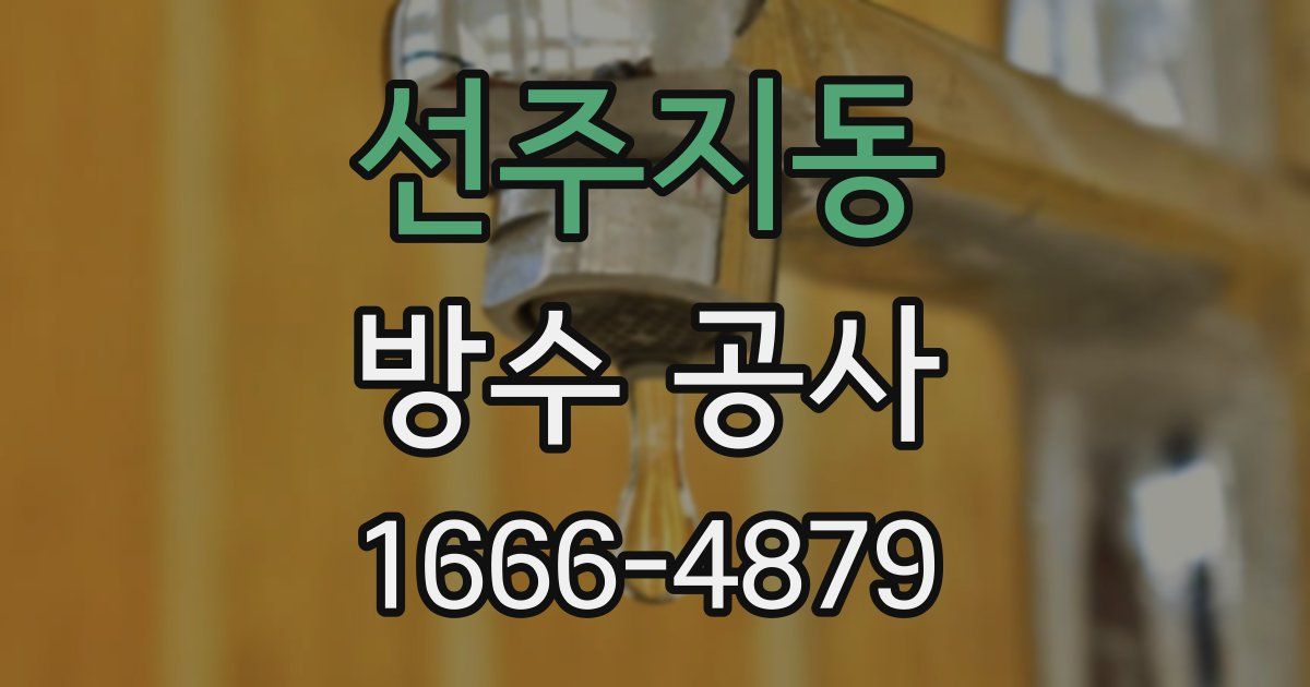 선주지동 방수 공사