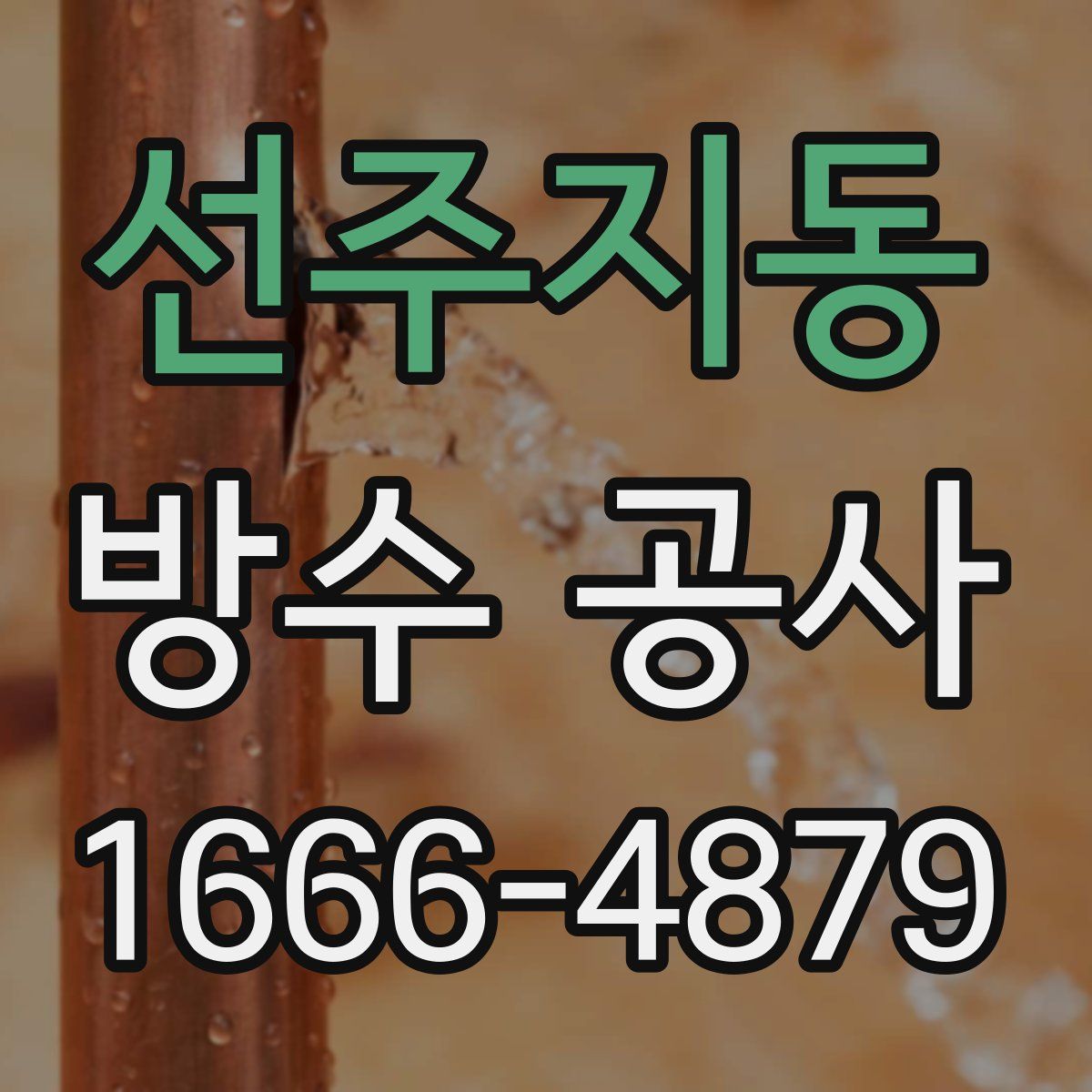 선주지동 방수 공사