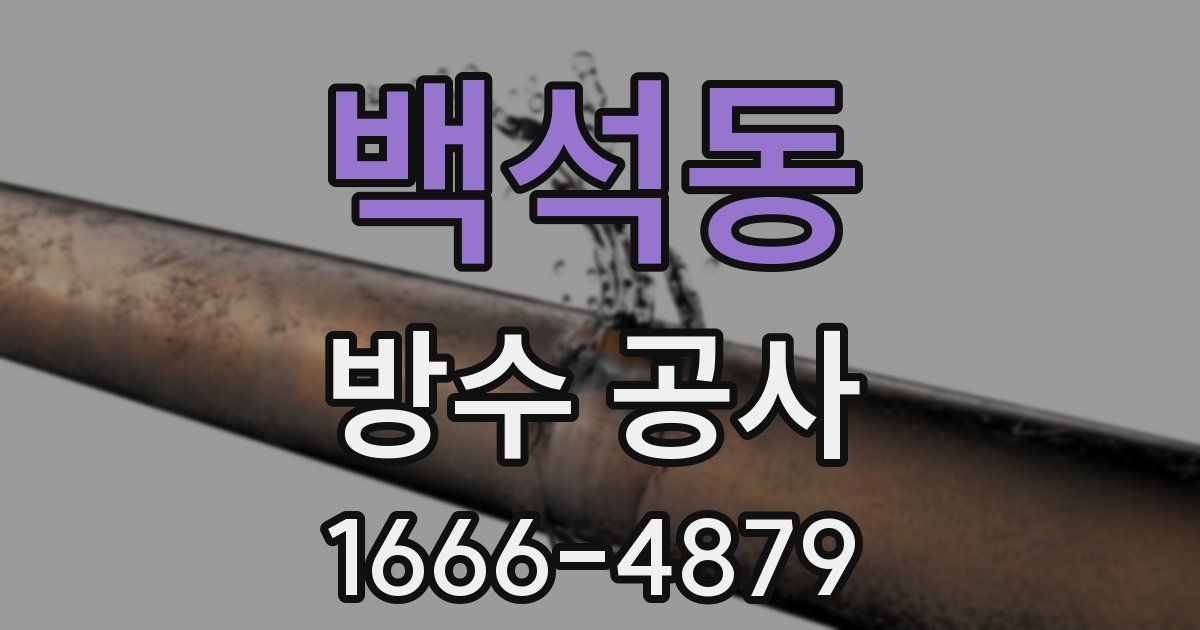 백석동 방수 공사