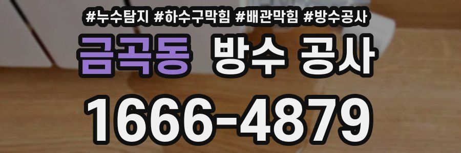 금곡동 방수 공사