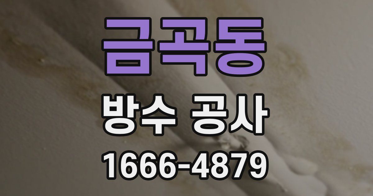 금곡동 방수 공사