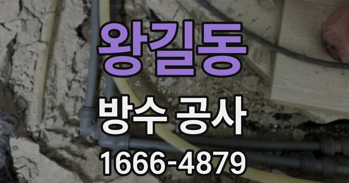 왕길동 방수 공사