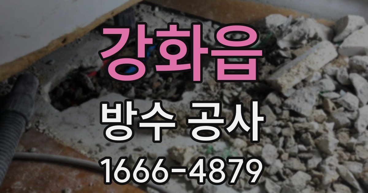 강화읍 방수 공사