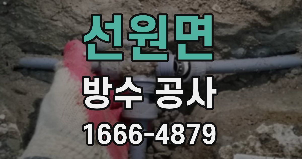 선원면 방수 공사