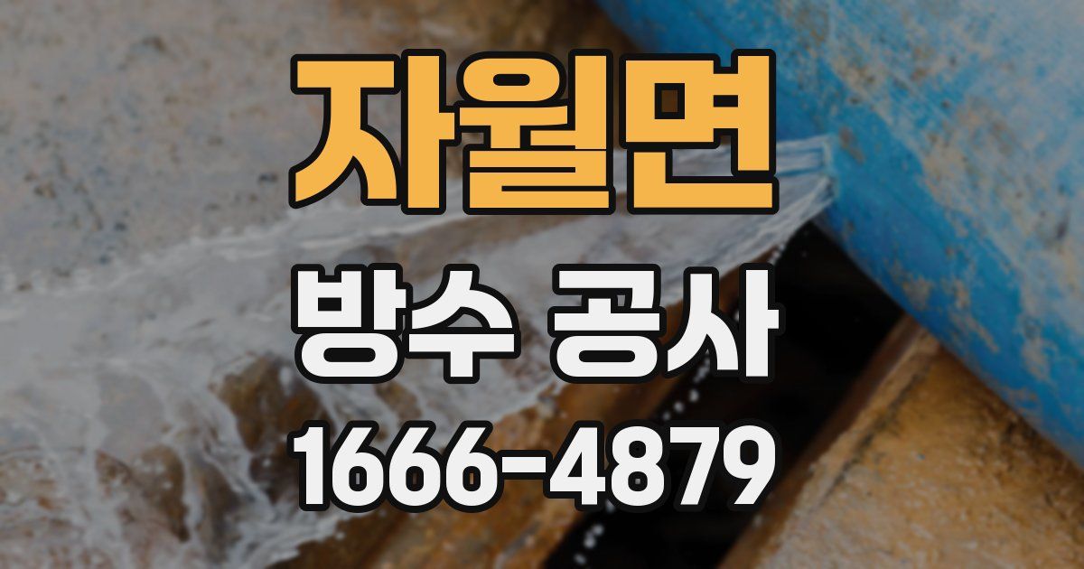 자월면 방수 공사