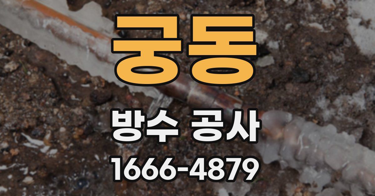 궁동 방수 공사