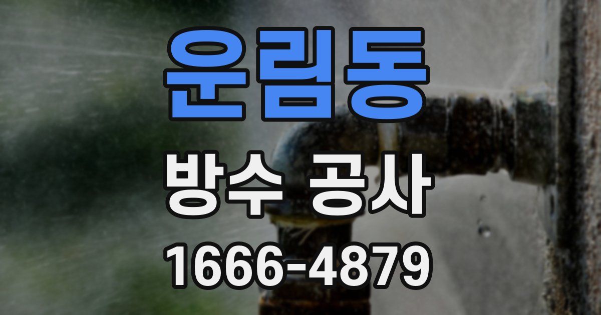 운림동 방수 공사