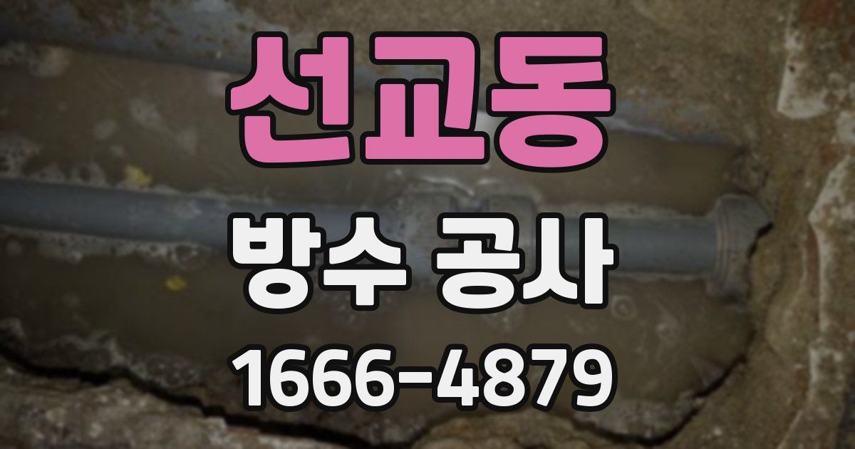 선교동 방수 공사