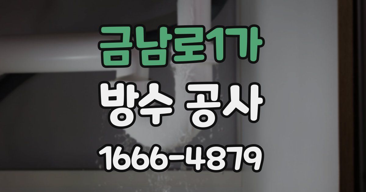 금남로1가 방수 공사