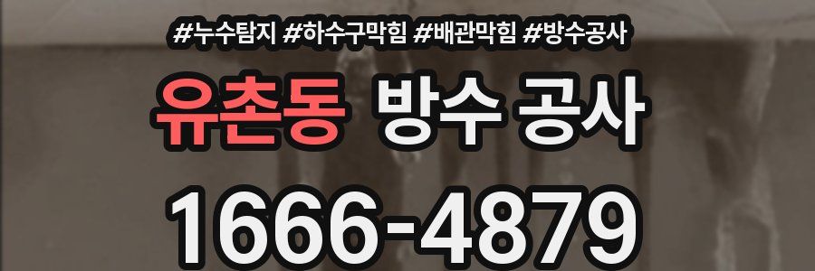 유촌동 방수 공사